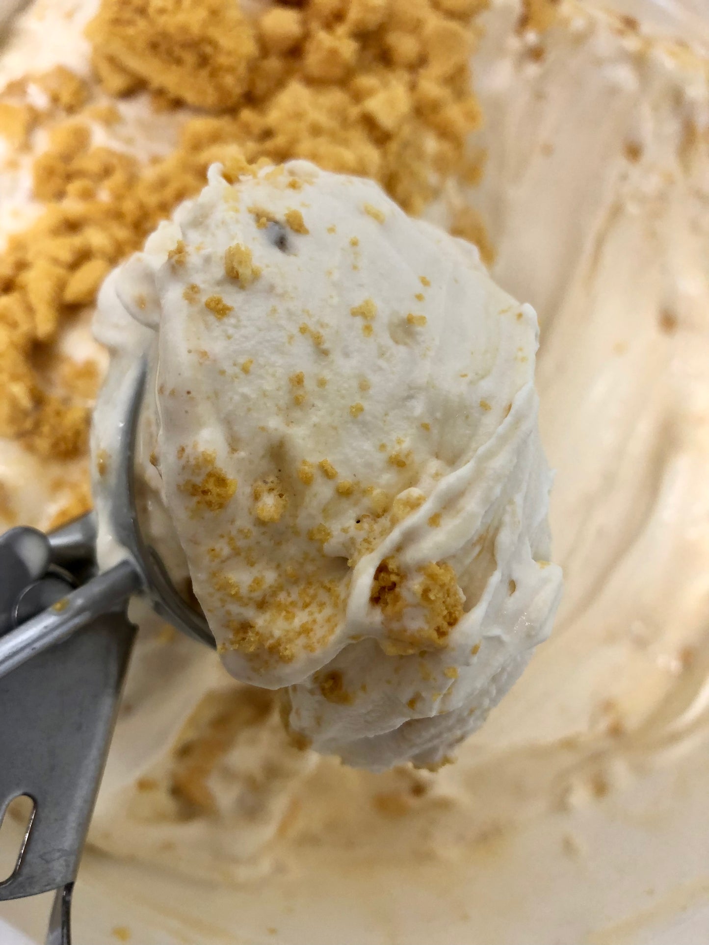 Milk + Honey Ice Cream